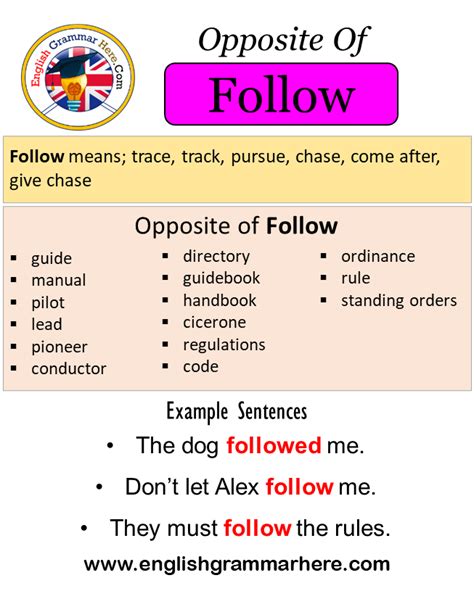 follow opposite word|follow synonyms.